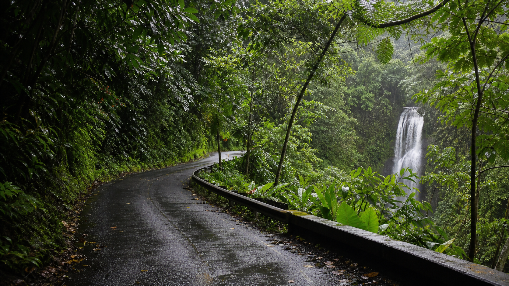 Road to Hana 雨林公路